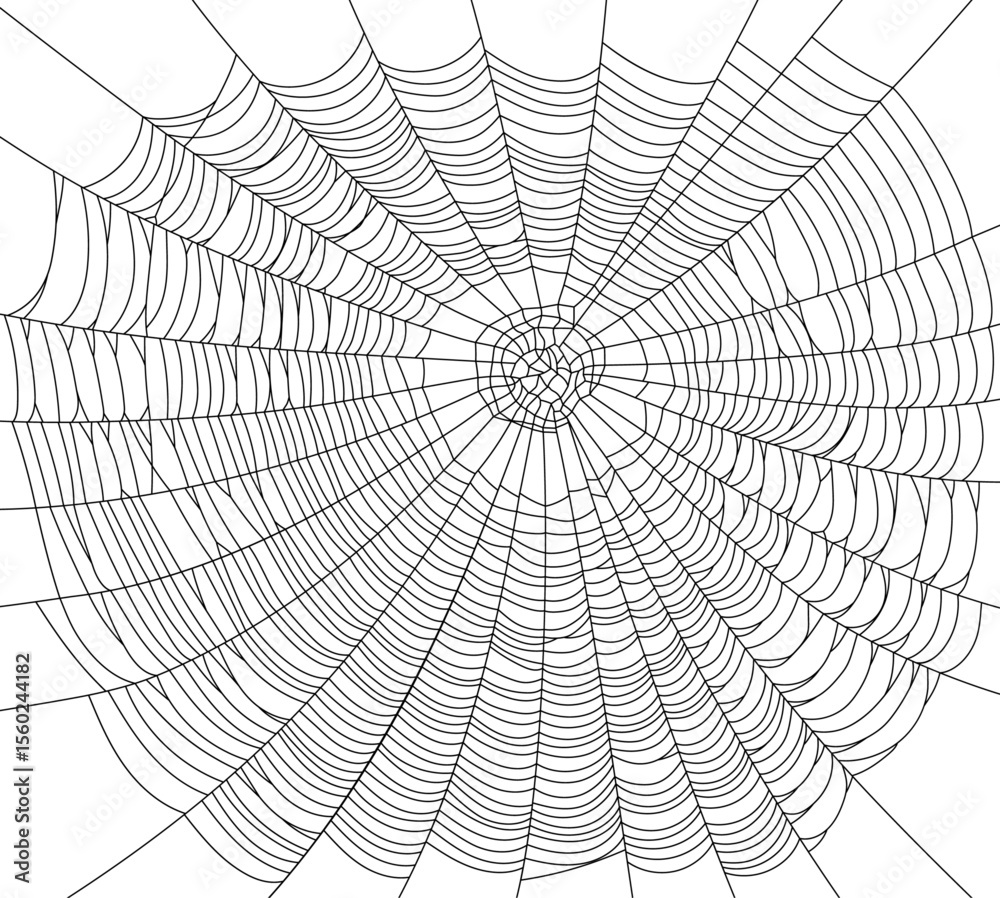 Obraz premium A large, detailed vector illustration of a spider web for a background, suitable for Halloween, with a creepy and scary feel, and no people.