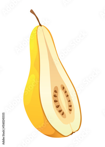 Yellow pear food cut half, piece, part and slice chopped of fruit. Harvest ripe fruit. Popular healthy garden food pear. Vector flat illustration