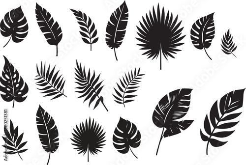 tropical leaves silhouette vector background	
