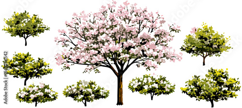 Collection of Pink Blossoms and Green Trees, Isolated on White Background