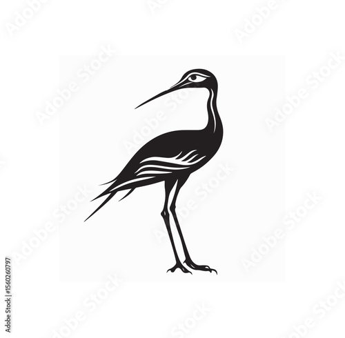 Curlew Bird Image Vector. Black and white Curlew Bird Image Vector Isolated on white background.