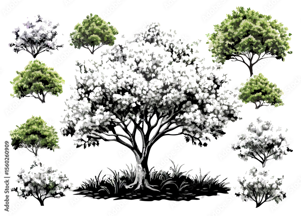 Obraz premium Hand-drawn Tree Illustrations: Various Styles & Sizes