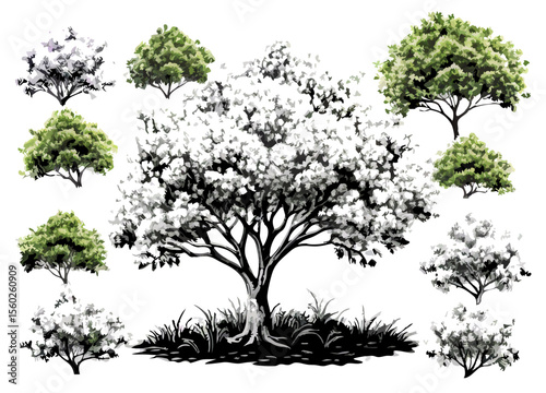 Hand-drawn Tree Illustrations: Various Styles & Sizes