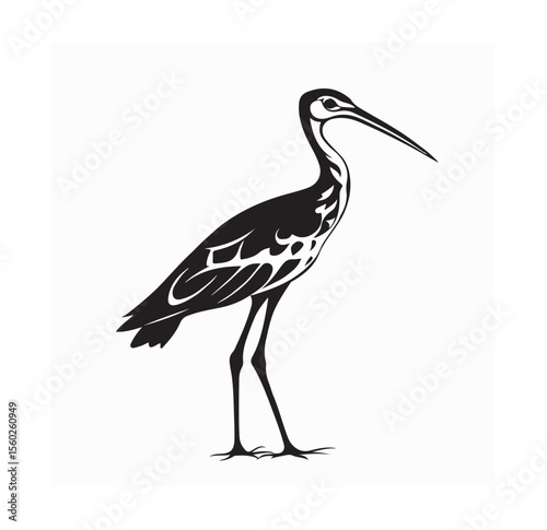 Curlew Bird Image Vector. Black and white Curlew Bird Image Vector Isolated on white background.