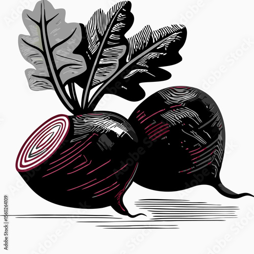 Two Beetroots with Greens,  Engraving Style Illustration