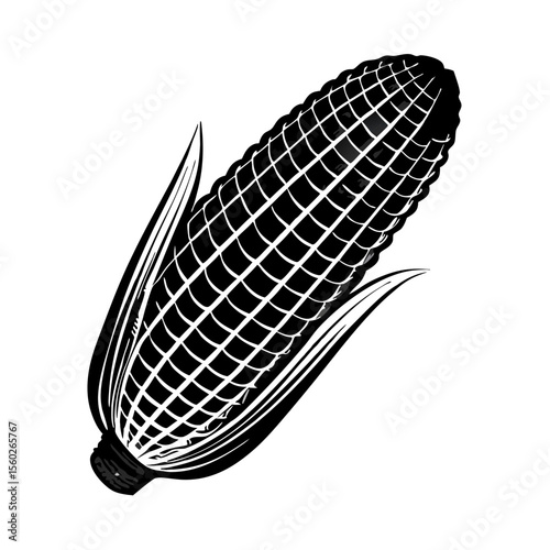 Black and White Corn on the Cob Illustration