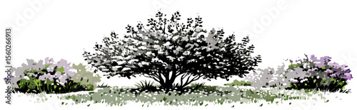 Black and White Landscape Illustration: Tree with Blooming Shrubs