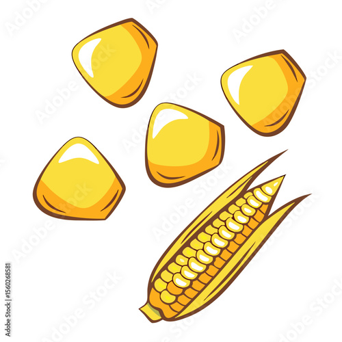 Corn Kernels and Corn on the Cob Illustration