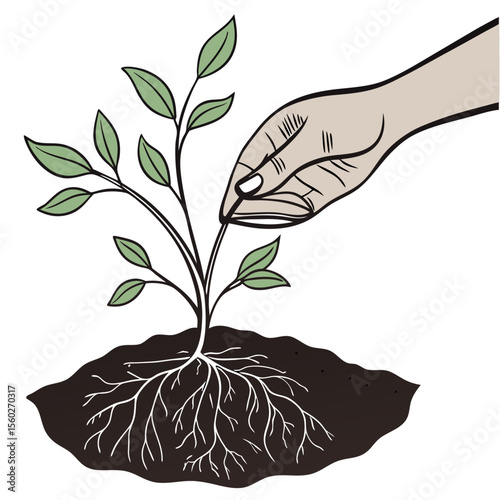 A hand tending to a young plant with green leaves and visible roots growing in dark soil illustration
