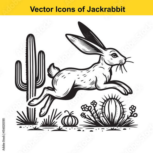 Jackrabbit Black and White Line Art – Bold Western Cartoon for Tracing or Coloring