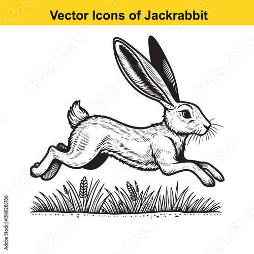 Jackrabbit Black and White Line Art – Bold Western Cartoon for Tracing or Coloring