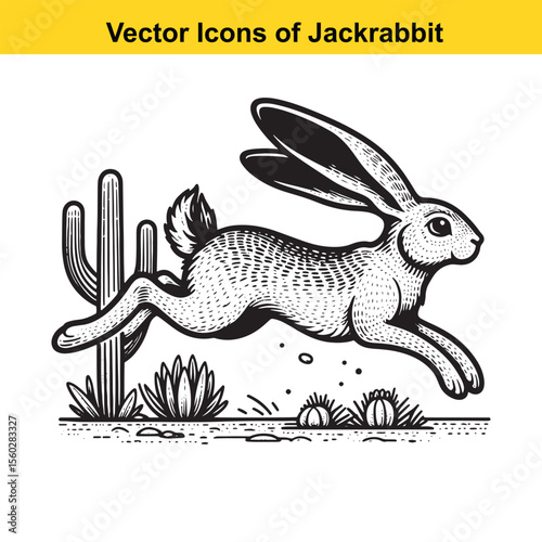 Jackrabbit Black and White Line Art – Bold Western Cartoon for Tracing or Coloring