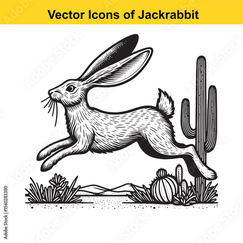 Jackrabbit Black and White Line Art – Bold Western Cartoon for Tracing or Coloring