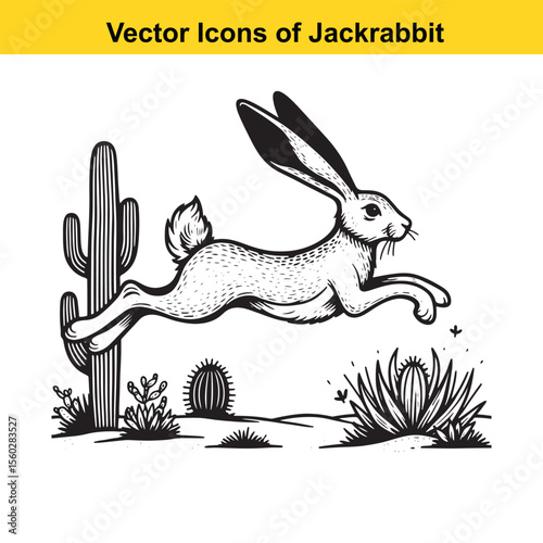 Jackrabbit Black and White Line Art – Bold Western Cartoon for Tracing or Coloring