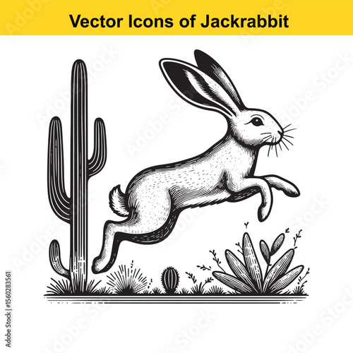Jackrabbit Black and White Line Art – Bold Western Cartoon for Tracing or Coloring