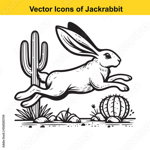 Jackrabbit Black and White Line Art – Bold Western Cartoon for Tracing or Coloring