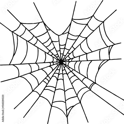 spider and web