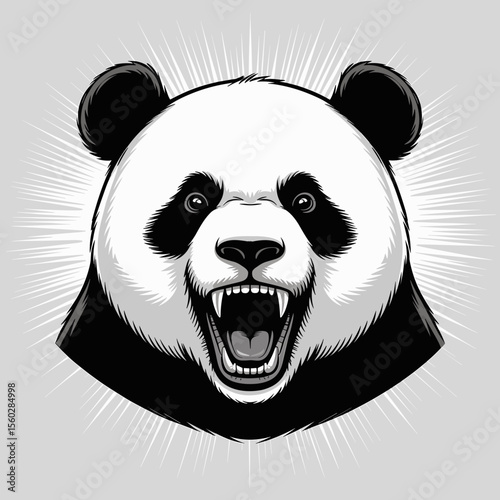 Aggressive panda bear head snarling, vector illustration of mammal animal showing teeth