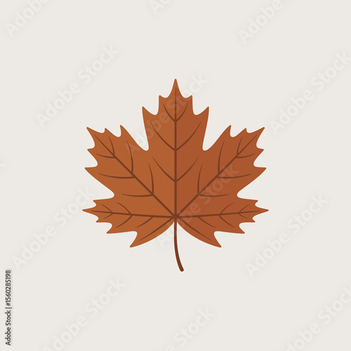 Autumn brown maple leaf illustration. Fall season symbol. Natural botanical icon.