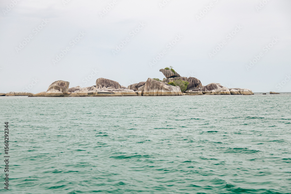 Fototapeta premium eagle stone island