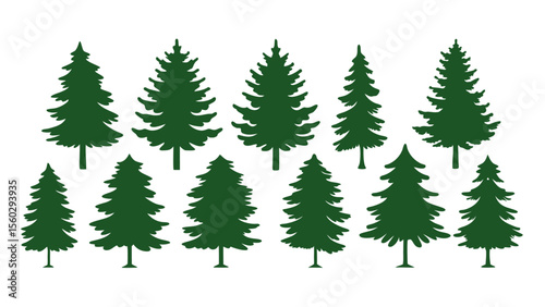 A row of evergreen tree silhouettes in various sizes