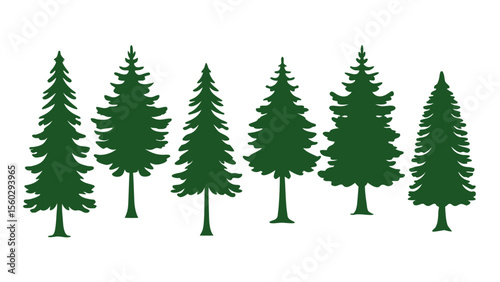 A row of evergreen tree silhouettes in various sizes