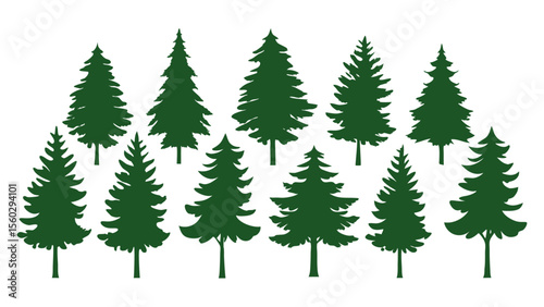 A row of evergreen tree silhouettes in various sizes