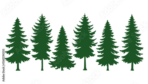 A row of evergreen tree silhouettes in various sizes