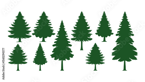 A row of evergreen tree silhouettes in various sizes