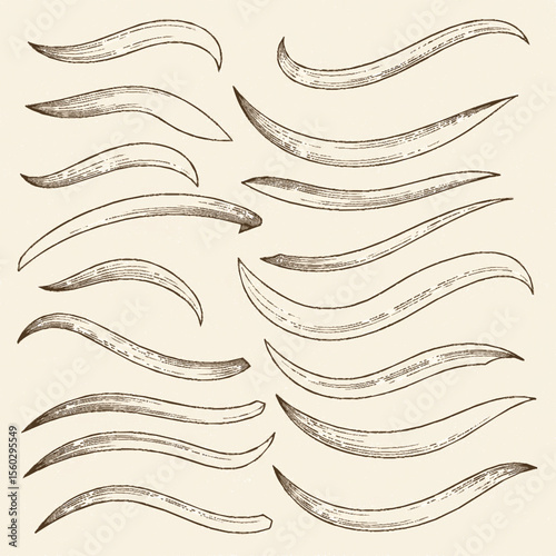 A collection of curved, elongated shapes with textured shading, resembling stylized strokes or design elements.