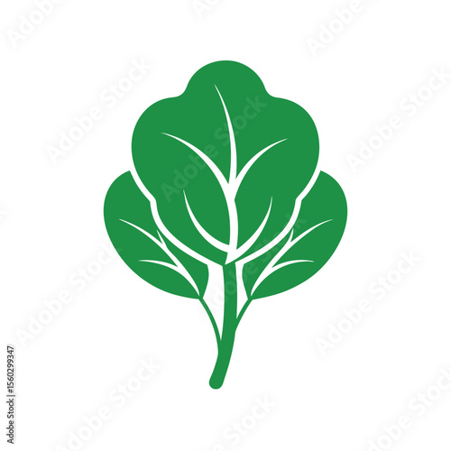 Green spinach leaf outline vector illustration