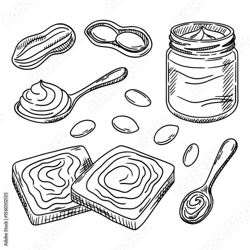 Vector set of peanuts and peanut butter, sketch of peanuts in shell. Toast with peanut butter.