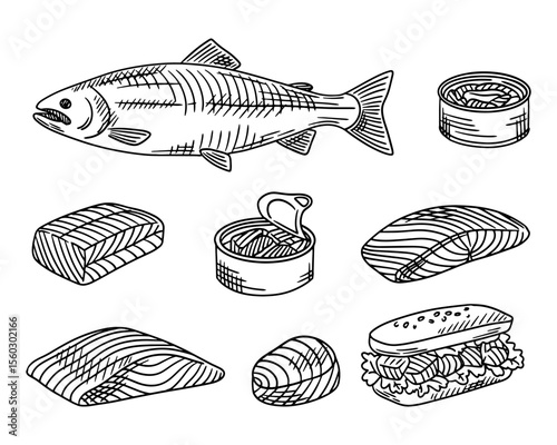 Vector set of sea tuna, trout, salmon. Cut into pieces of fish, canned food. Sketch of beautiful pieces of fish for the market