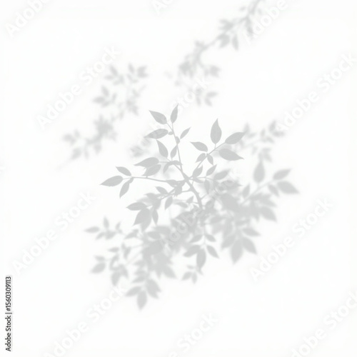 shadow overlay effect. Gray shadow of leaves isolated on white background. Plant foliage leaf shadow light effect. Mockup Blurred tree branch shadow. Ideal for summer spring design elements PNG