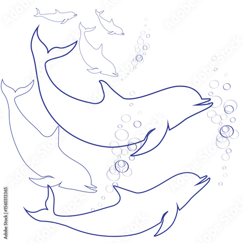 Delphine's blue line drawing vector