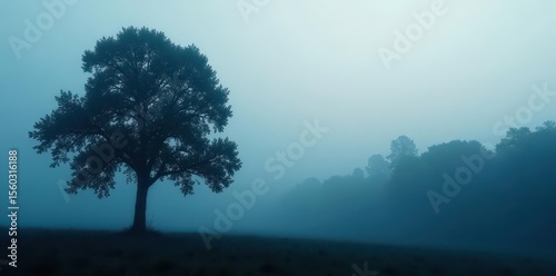 Tall, slender tree silhouettes against a dark, foggy backdrop , art, image, woods