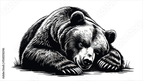 A black and white drawing of a bear