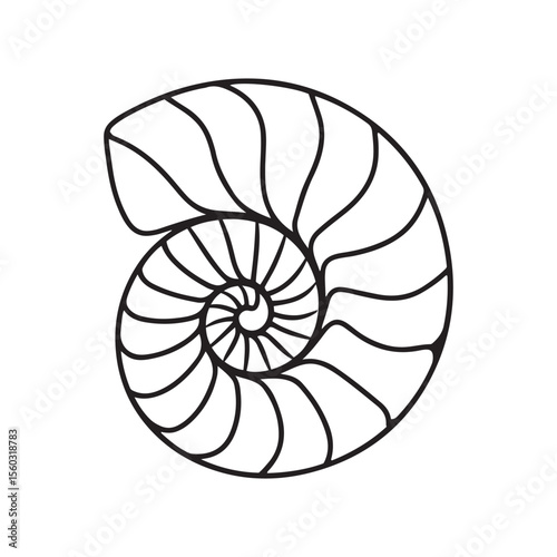 Detailed Nautilus Seashell Black Silhouette for Marine and Nature Designs