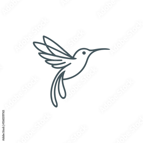 Unique humming bird logo Modern and minimalist vector and abstract logo