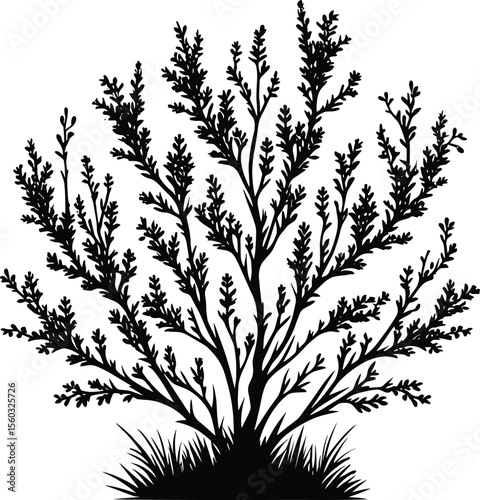 Black silhouette bush & shrub vector illustration isolated on a white background