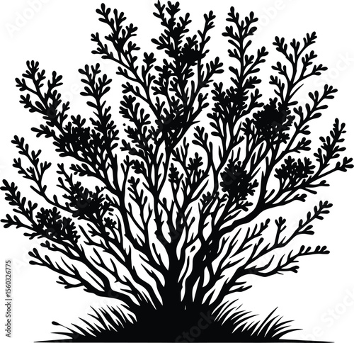 Black silhouette bush & shrub vector illustration isolated on a white background