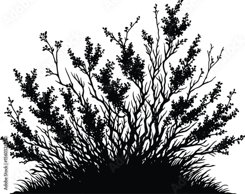 Black silhouette bush & shrub vector illustration isolated on a white background