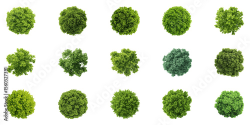 Top View Green Tree Canopy Collection. Garden And Environmental Design Elements For Sustainable Urban Planning. Isolated Vector Illustration