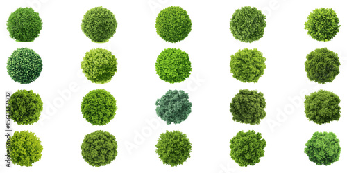 Top View Circular Tree Foliage Set. Garden Landscaping And Urban Architecture Collection. Green Space Planning. Isolated Vector Illustration