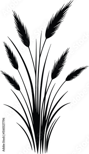 Tall grass silhouette vector illustration isolated on a white background
