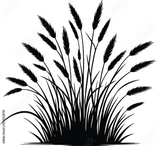 Tall grass silhouette vector illustration isolated on a white background
