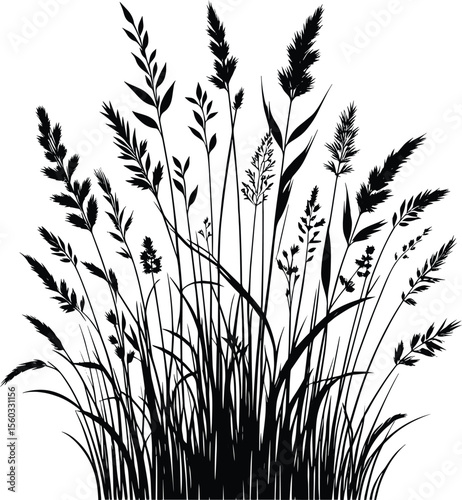 Grass silhouette vector illustration isolated on a solid white background 