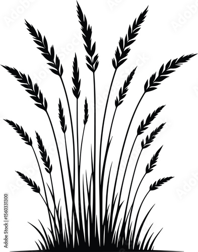 Tall grass silhouette vector illustration isolated on a white background
