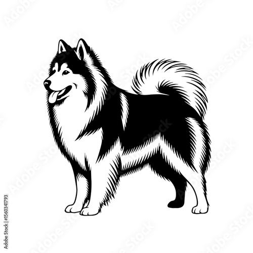 Samoyed Dog Illustration in Black and White Style for Pet Blogs, Animal Lovers Websites, Breeds Guides, Illustration Galleries, and Educational Content  