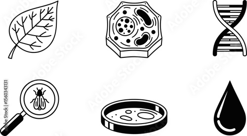 A set of 6 biology and nature vector icons